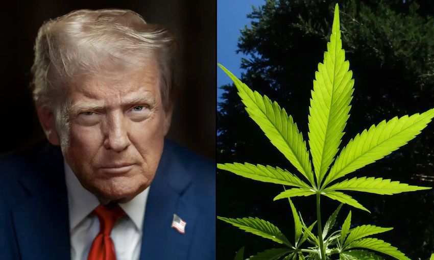  Marijuana Has ‘Horrific Health Risks’ And No Medical Value, Former Trump Attorney General Claims – Marijuana Moment