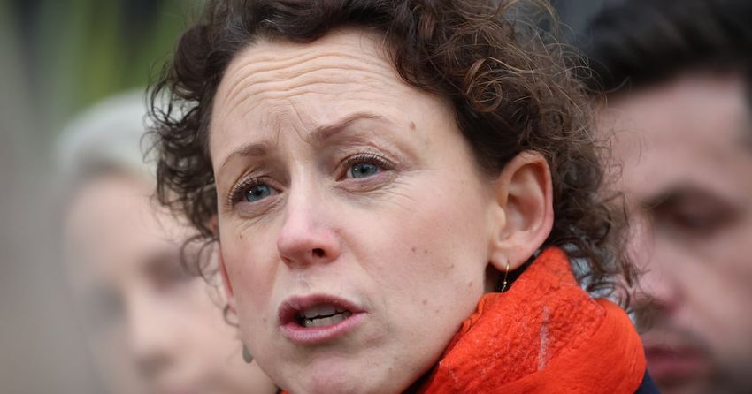  Decriminalisation would spark increase in drug-induced psychosis, committee told