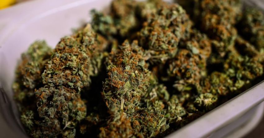  Man arrested following €1.67m drug seizure in Cork