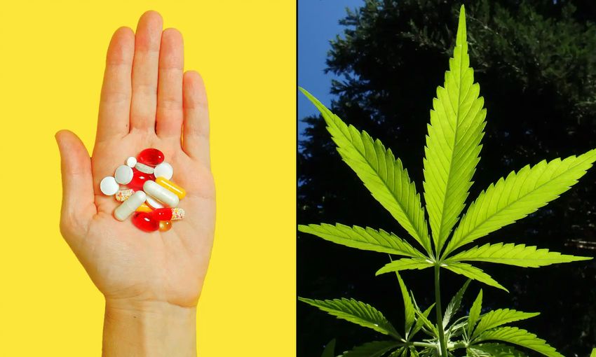  Covering Medical Marijuana Through Workers’ Compensation Can Improve Health And Reduce Opioid Use, Government Study Suggests – Marijuana Moment