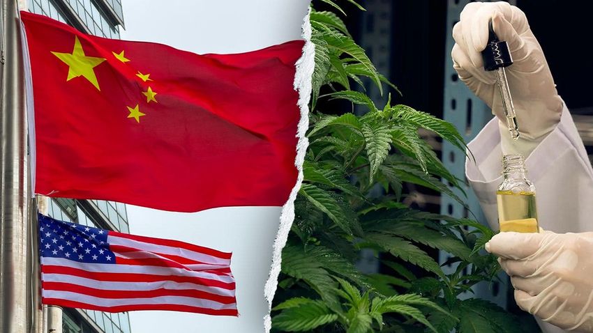  Former acting DHS secretary warns Chinese criminal organizations are infiltrating America’s hemp industry