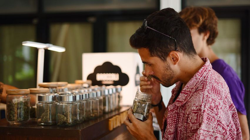  Smoking Out Virginia’s Pot Law