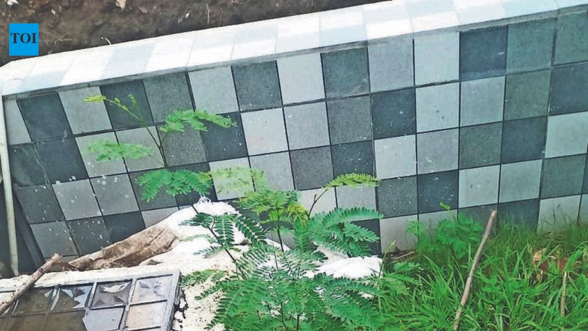  Peddlers Using NMC Properties As Narco Dumps? Citizens Want Action