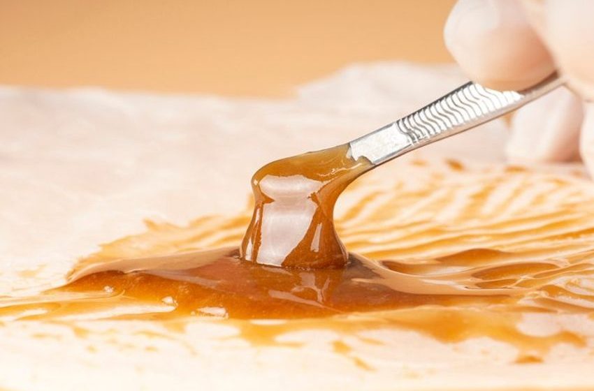  Check Out Our 710 Day Cannabis Roundup