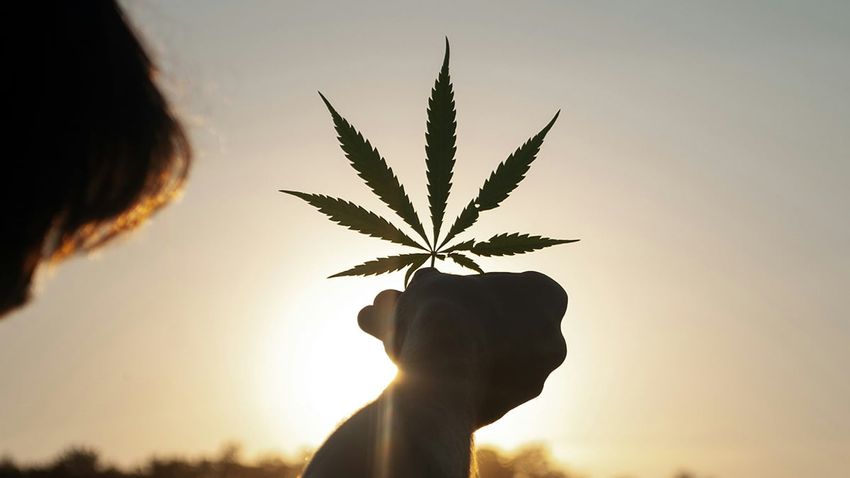  Your Cannabis Habit May Be Quietly Raising Your Stress Levels Every Morning