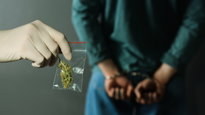  Analysis: Drug-Related Arrests, Disciplinary Incidents on College Campuses Decline Following Marijuana Legalization