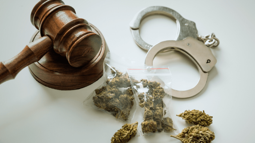  Cannabis Law Reform Is a Civil Rights Issue and Must Be Treated as Such