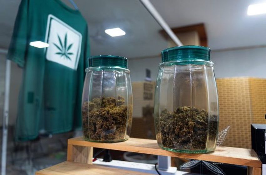  Is Thailand’s PM More Concerned About Sound Cannabis Policy or Political Optics?