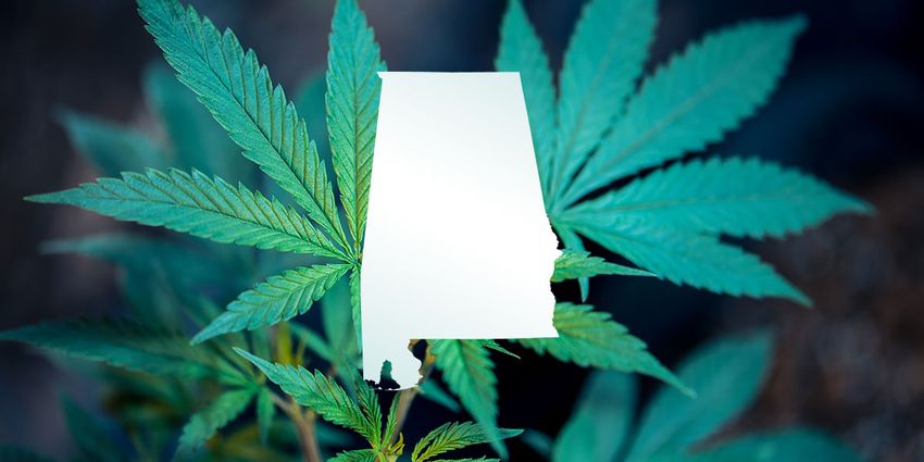  Alabama Department of Public Health weighs marijuana rescheduling after federal shift