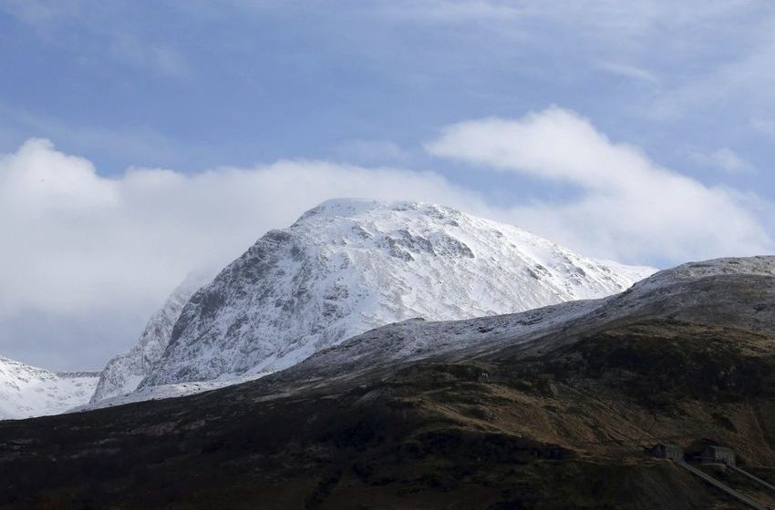  Dog Needs Mountain Rescue, and Marijuana Is Blamed