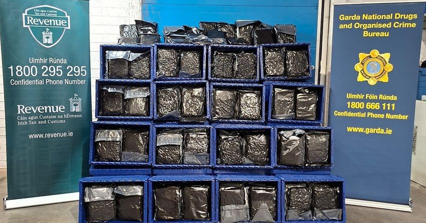  Almost 400 kilograms of cannabis seized at Dublin Port