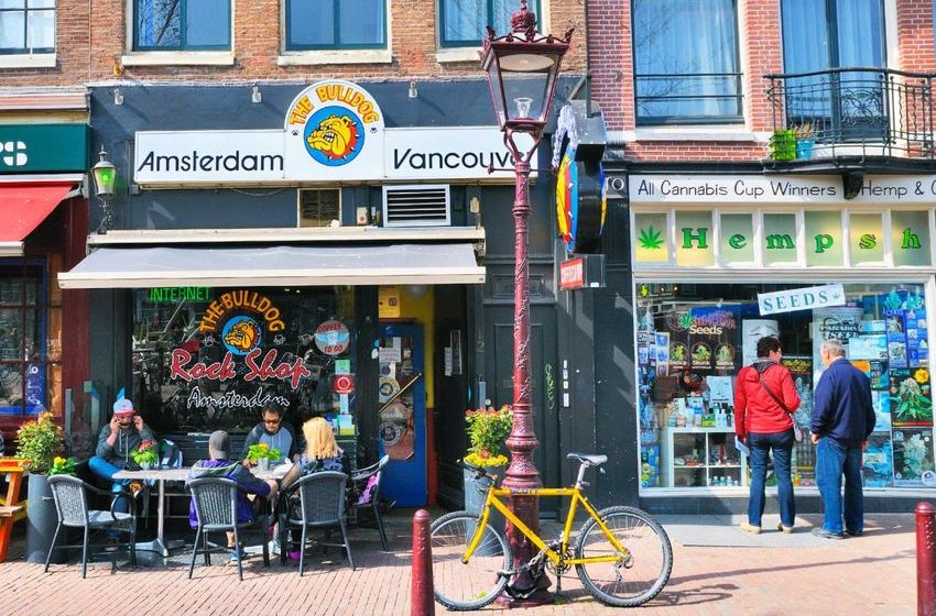  California city votes to transform into Amsterdam pot smoker’s paradise