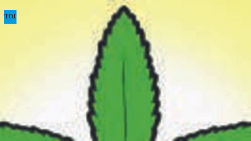  Four persons arrested in separate drug seizures in Ernakulam
