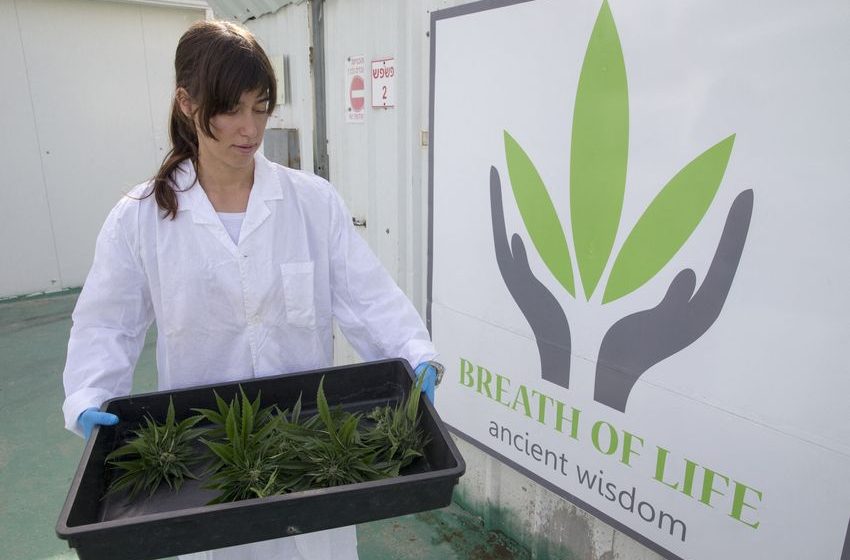  Cannabis Is Marketed as Stress Relief, and a New Cortisol Study Adds to a Thin Evidence Base