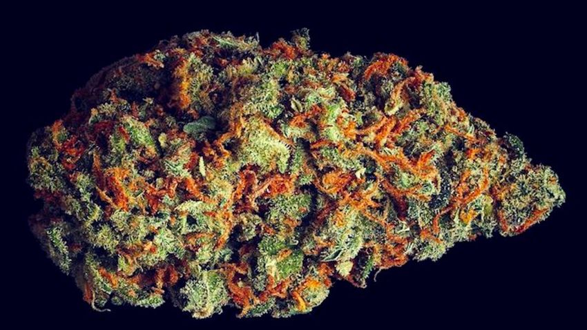  Cannabis ‘Scromiting’ Finally Has Its Own ER Code—and the Numbers Are Higher Than Anyone Realized