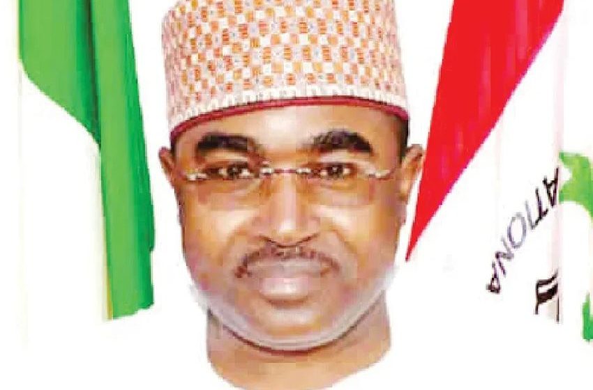  NDLEA, Army seize 604.5kg cannabis, hunt Edo drug kingpin