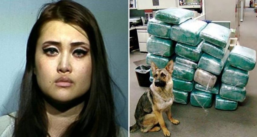 How Lisette Lee Built A Fake Life As The ‘Korean Paris Hilton’