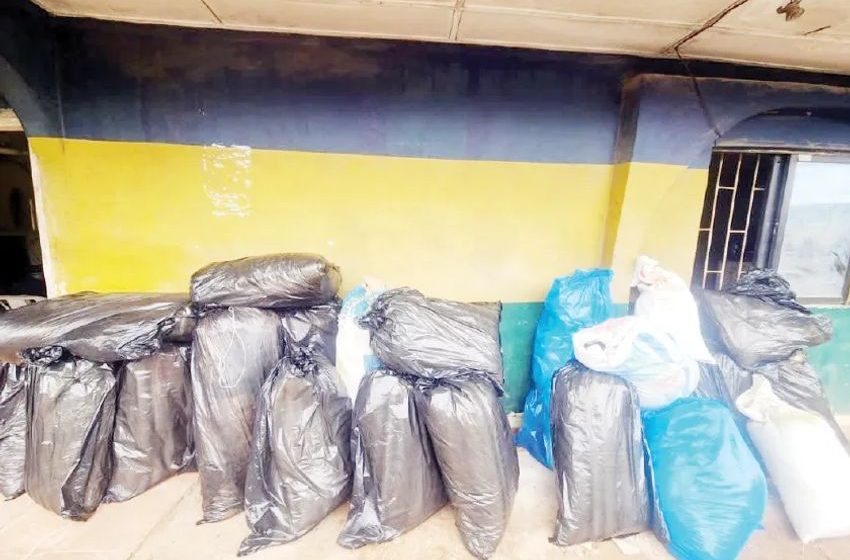  Police bust drug hideout in Delta, arrest 56-year-old