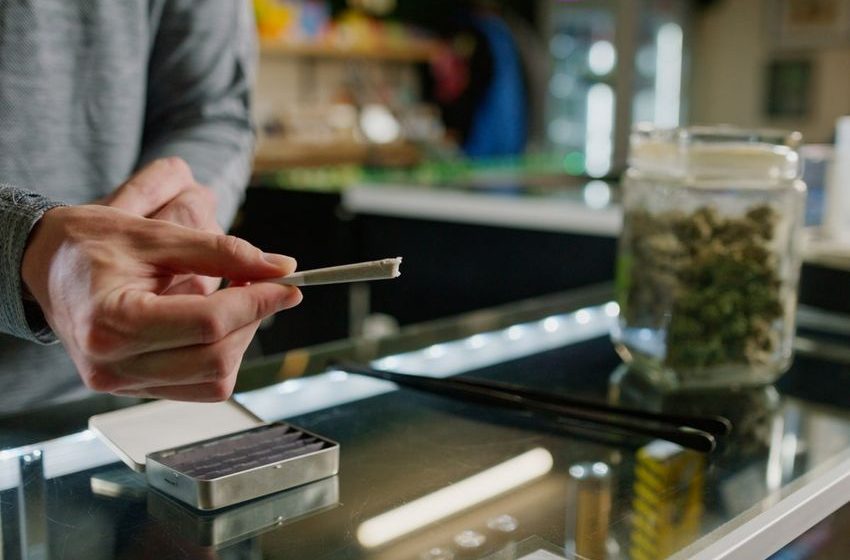  Cannabis use in your 20s and 30s linked to earlier onset of psychosis, study finds