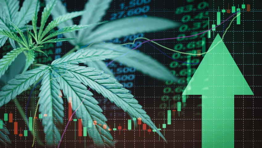  Analysis: Adoption of Medical Cannabis Access Laws Associated with Increased Workplace Productivity, Innovation