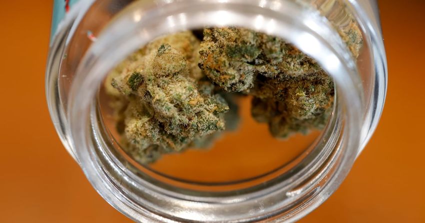  Cannabis by courier up for approval vote in September