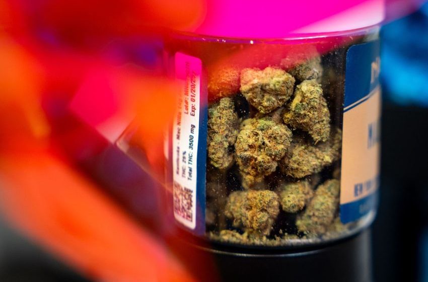  Problem Cannabis Use on the Rise
