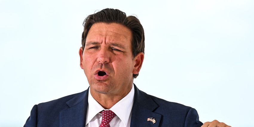  Ron DeSantis, America’s Favorite Meathead, Has Put Himself in Quite the Pickle