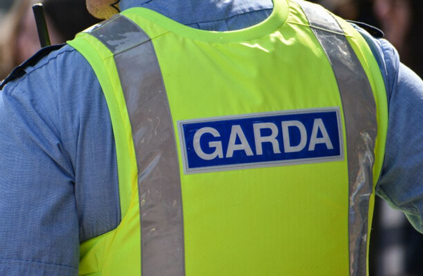  Two men arrested as €8.5m worth of cocaine and cannabis seized by gardaí