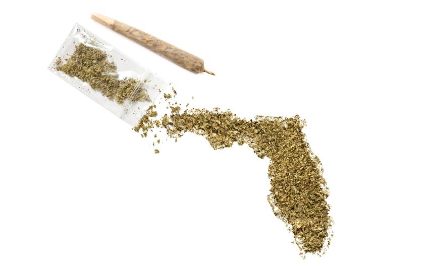  Medical Marijuana Card Does Not Bar Firefighter’s Suspension, Florida Court Says