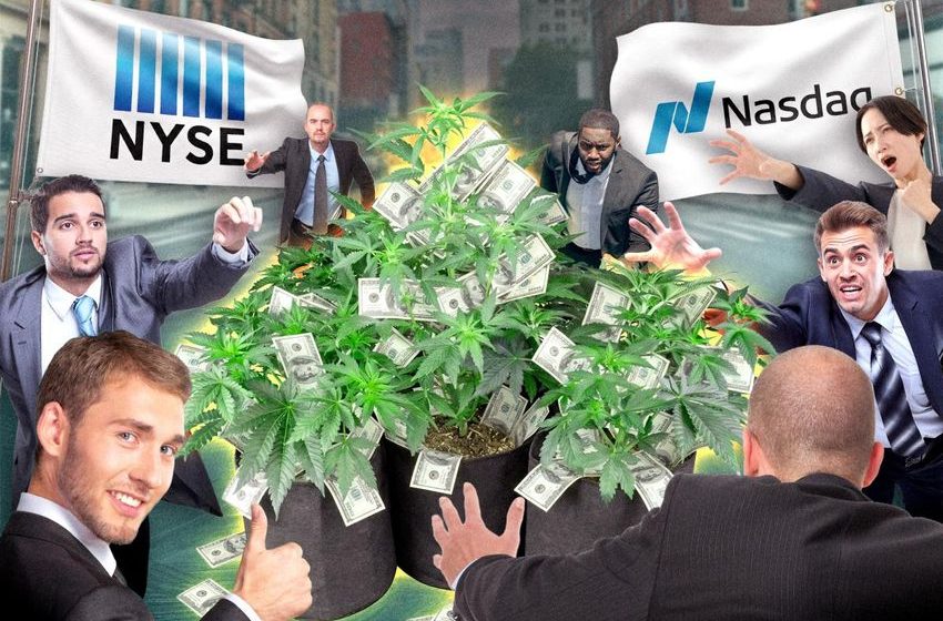  Marijuana companies are gearing up for IPOs – and NYSE and Nasdaq are jonesing to list them