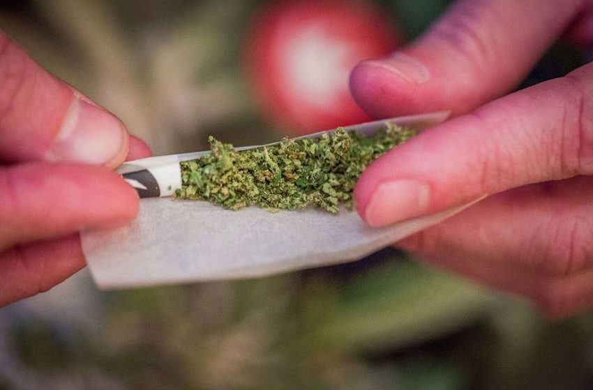  Study that was expected to show possible negative effects of long term cannabis use doesn’t. Turns out weed is good for your heart. So take all the bong rips you want. You’ll live longer [Spiffy]