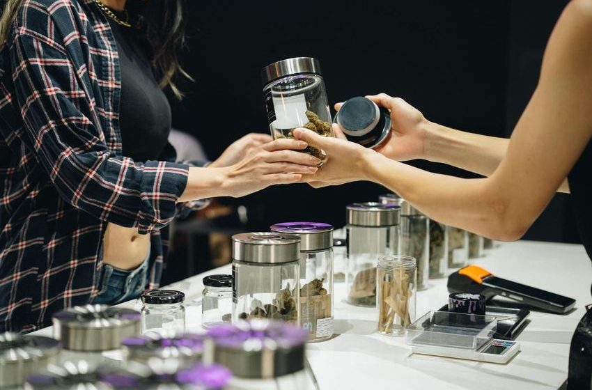  New York Allows Cannabis Microbusinesses To Sell At Farmers Markets