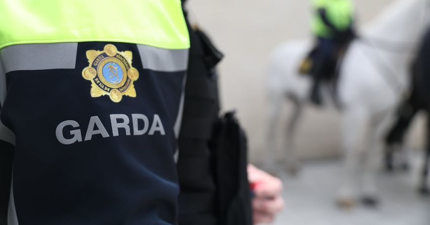  Two arrested as cannabis and cocaine valued at €8.5m seized in Meath, Louth