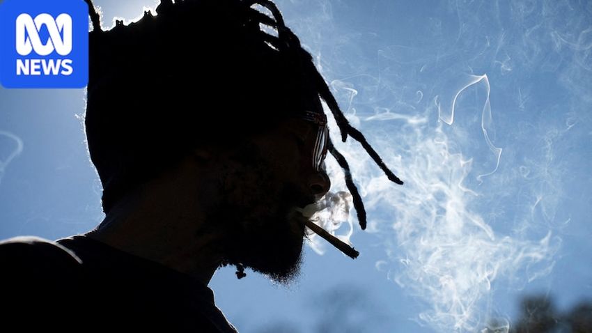  Cannabis use and psychosis are linked, but study finds age matters