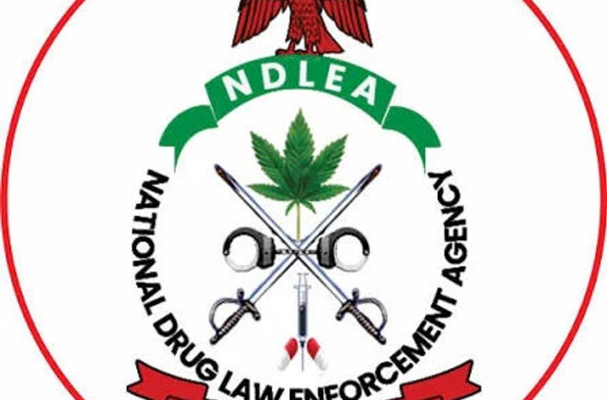  NDLEA, soldiers recover 604kg of cannabis, arrest nine suspects in Edo