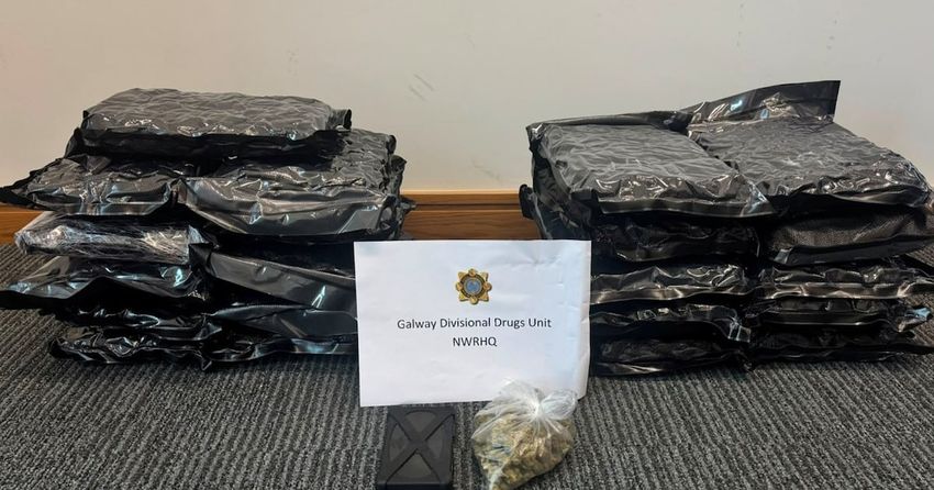  Two men arrested after €233,000 cannabis seizure in Galway