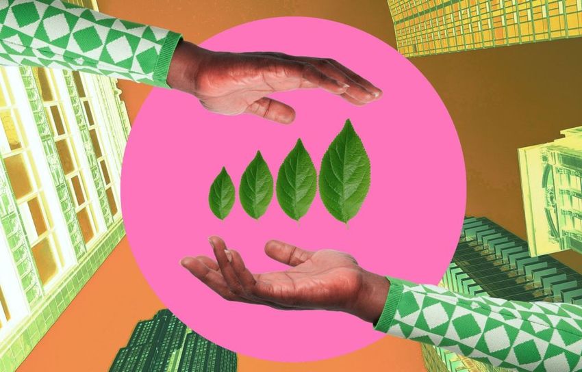  4 Lessons I Learned Building a Sustainable Business From the Ground Up