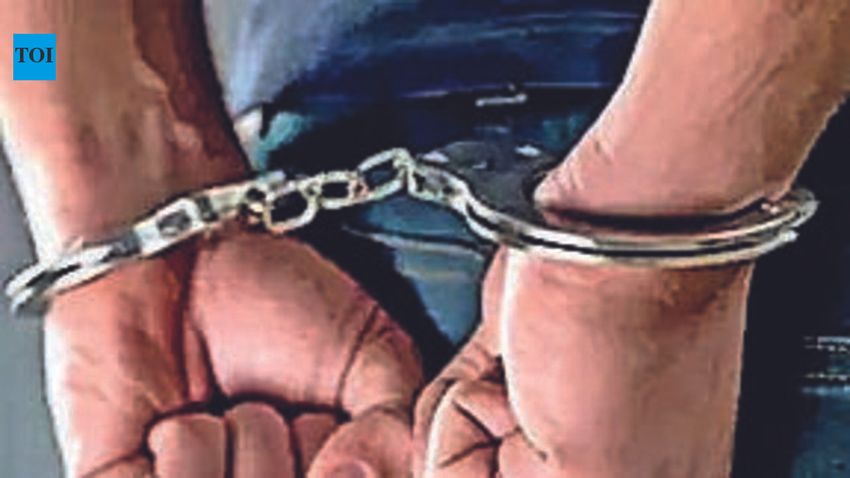  Hydroponic weed worth Rs 1.4cr seized, 5 arrested