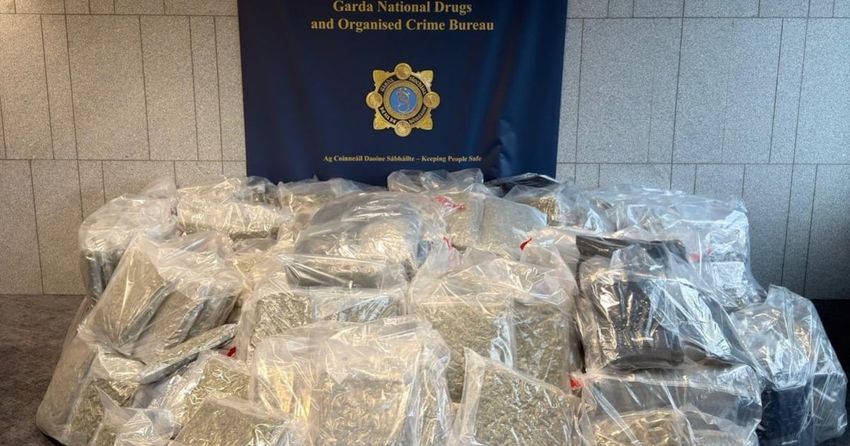  Two men remanded in custody after drugs worth €8.7 million seized in Meath and Louth