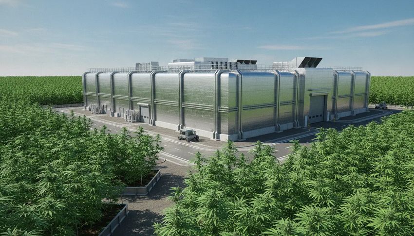  What Makes Metal Facilities Suitable for Large-Scale Cannabis Growth and Processing
