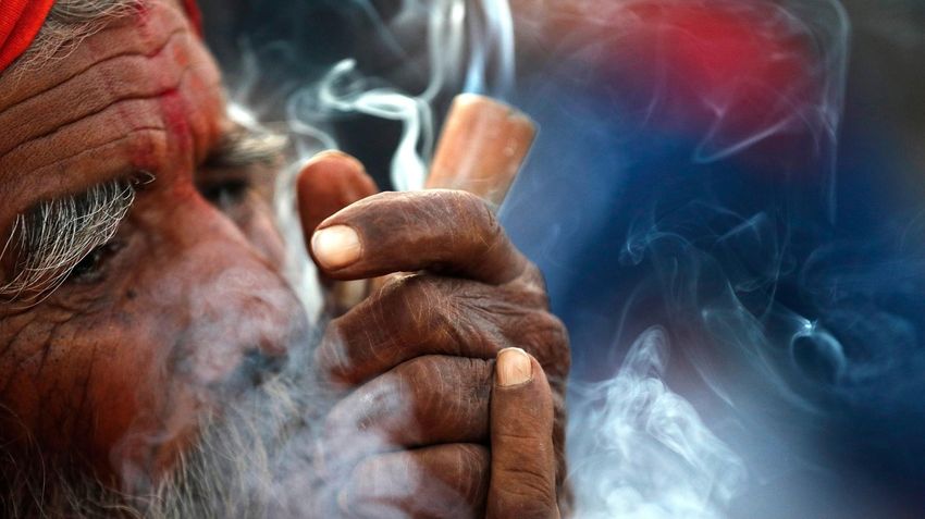  Nepal’s Gandaki province legalizes medical cannabis farming and use