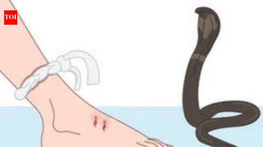  17-yr-old girl dies of snake bite in Srikakulam