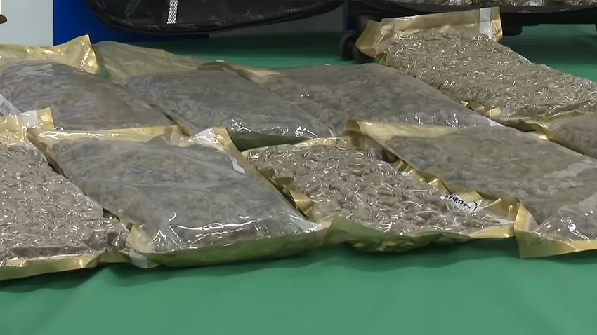  American women arrested after smuggling $1 MILLION worth of cannabis to Japan in suitcases