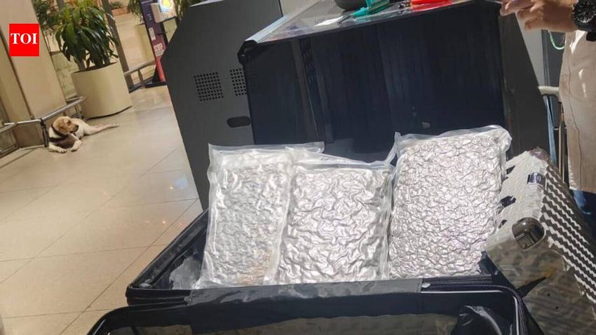  Sniffer dog helps officials seize 6kg hydroponic marijuana at SVPI
