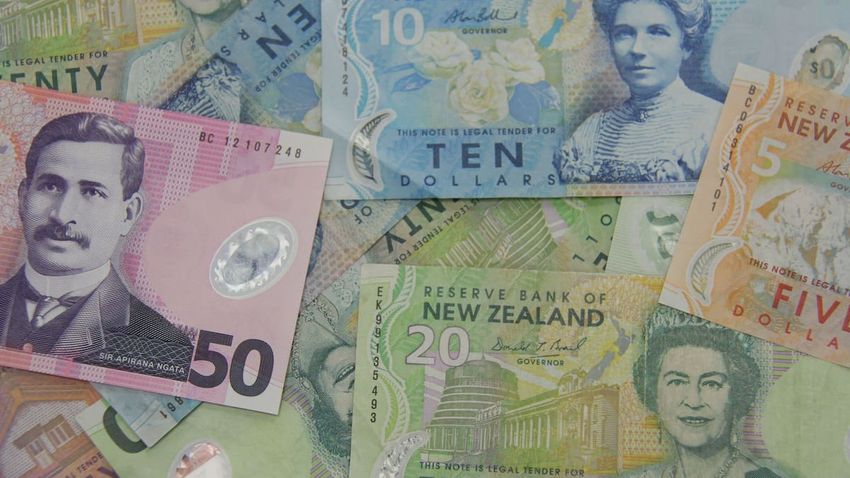  Ōpōtiki and Rotorua cannabis dealing: $65,000 found hidden at burial ground