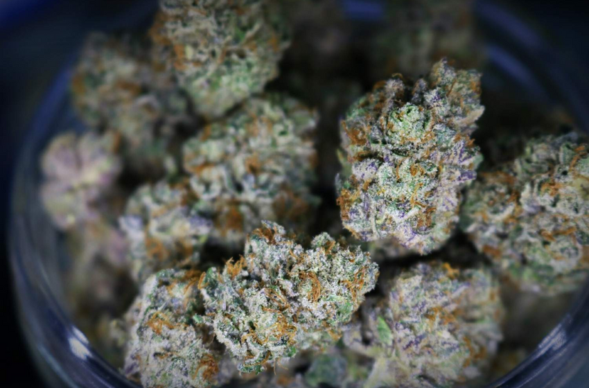  Alaska Marijuana Regulators to Consider Eliminating Ad Warnings, THC Purchase Limits and Marketing Restrictions on Tuesday