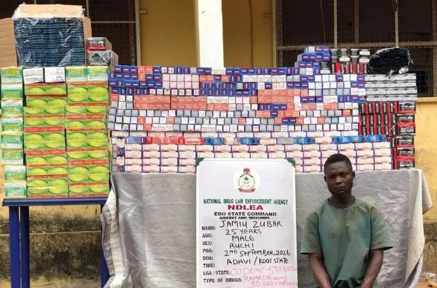  NDLEA destroys five cannabis farms, arrests three suspects in Edo