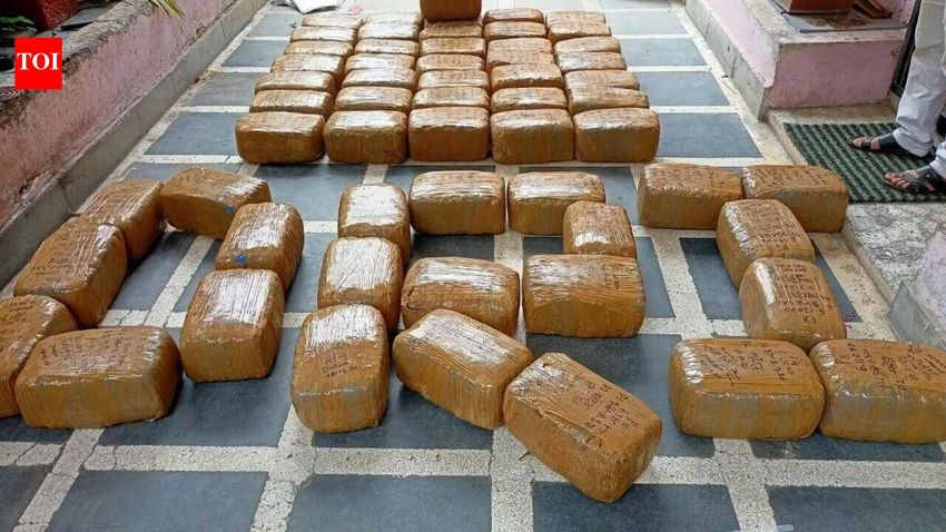  DRI arrests four, seizes 376 kg cannabis near Raipur