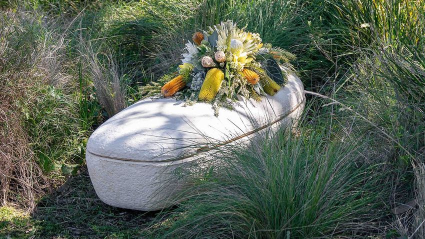  Would you get buried in a ‘living coffin’? Australian woman is put to rest in a casket made from mushrooms
