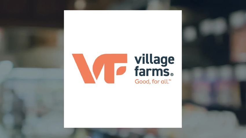  Village Farms Eyes Global Cannabis Growth With EU GMP Edge and Net Cash